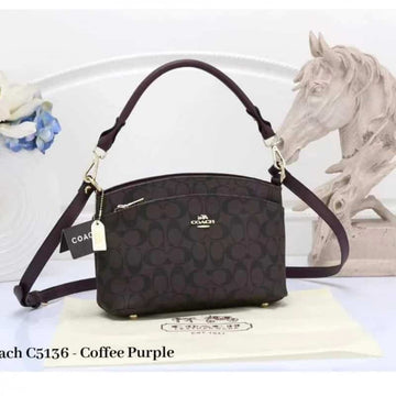 COACH_Dupe_Monogram_Sling_Bag_807