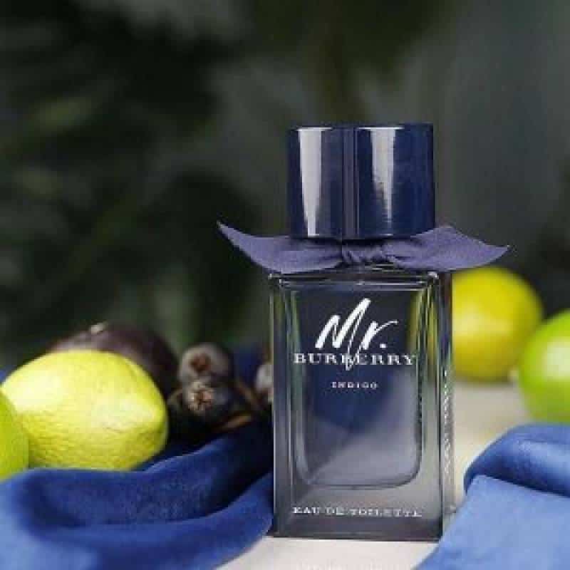 Mr_BURBERRY_INDIGO_EDT_100ML_(703)