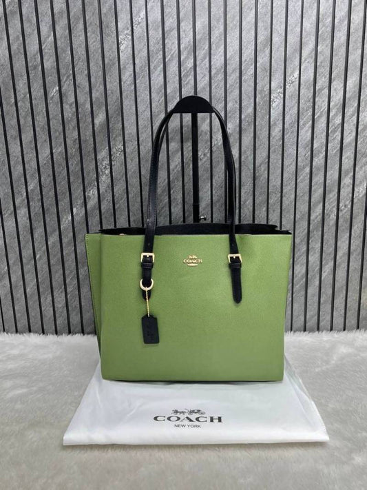 Coach_Mollie_Tote_Bag_25_In_Signature_Canvas_Green_C01103